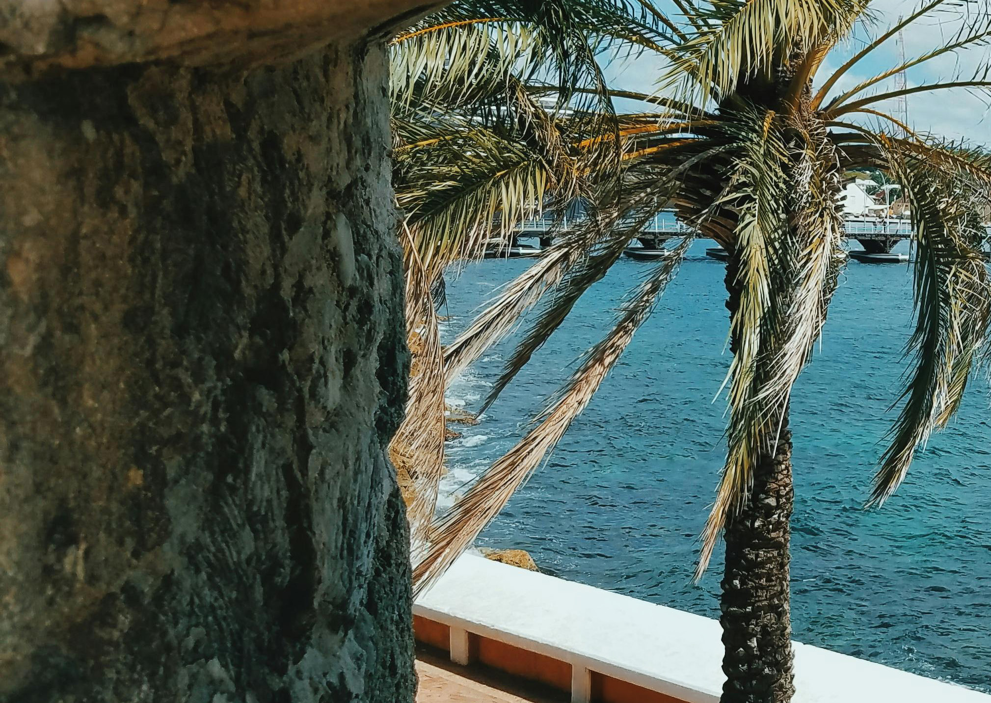 The sea and palms of Pietermaai, Willemstad